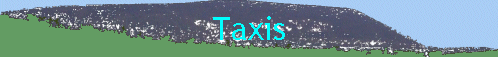 Taxis