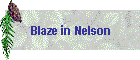 Blaze in Nelson