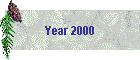 Year 2000