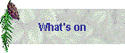What's on