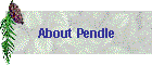 About Pendle