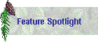 Feature Spotlight