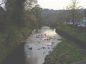 [River thru Barrowford]