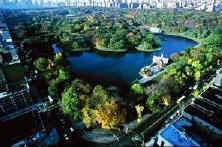 Picture of Central Park - (c)NYCVB